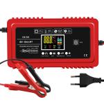 12V/24V Output Fast Charging Speed Pulse Repair Lead Acid Battery Charger from