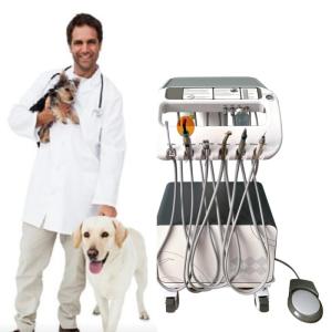 Wholesale Dental Factory Pet Teeth Therapy Equipment With Air Compressor 220V EU Standarder Vet Portable Dental Unit from china suppliers
