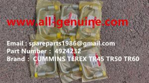 Wholesale CUMMINS 4924232 NHL DUMP TRUCK TR35 TR50 TR60 TR100 3305B 3305F 3303 3307 TR45 TR70 TEREX ALLISON UNIT RIG MT4400 from china suppliers