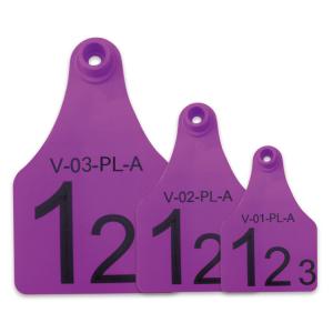 Wholesale Purple Re - use Male Electronic Ear Tags For Divisional Management Of Animals from china suppliers