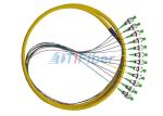 ST 0.9mm Breakout Fiber Optic Pigtail , 12 core Optical Cable