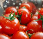 1.5tons Per Hour Tomato Paste Making Machine PVC Bag Packing
