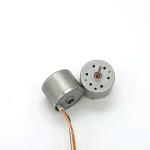 Faradyi High Quality BLDC 24*18mm 24V 5000rpm Customized Specification High