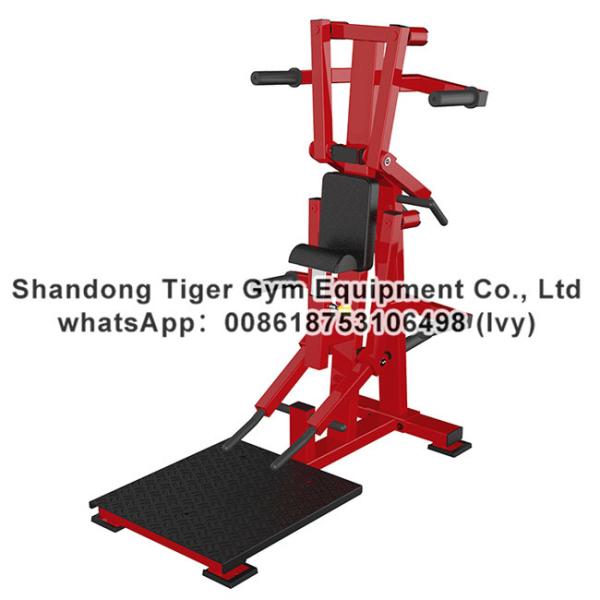 Strength Fitness Equipment / plate loaded gym fitness equipment / bend fly side