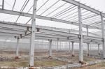 Prefabricated Poultry Farm Steel Structures For Vegetable and Fruit Storage