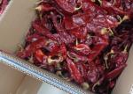 KOSHER Dried Guajillo Chili Hot 500SHU With or Without Stem Impurity 0.3% Max