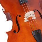 Handmade/Advanced Solid Wood Cello High Quality Aca500 The high carbon steel