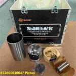 612600030047 Cylinder Liner WEICHAI Engine Parts Piston Ring Pin Engine WP10