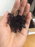 Aesthetic Drywall Screw Phillips Head Black Self Tapping Screw