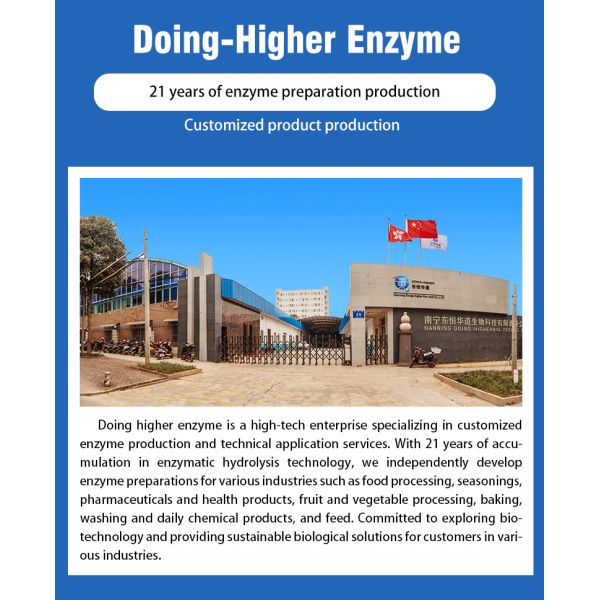 20000U/G Xylanase Enzyme Xylanase In Food For Baking Bread