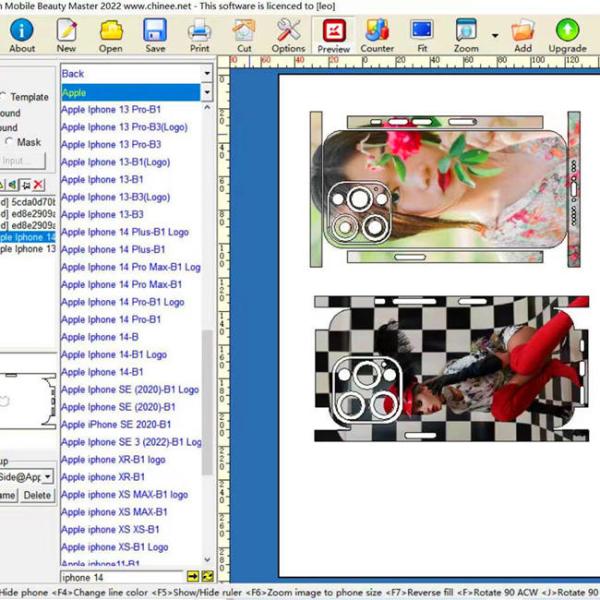 Quality Daqin Custom CE Sticker Cutting Plotter Machine Skin Making Software for sale