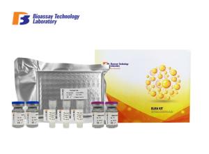 Wholesale SP Sandwich Canine ELISA Kits High Specificity Canine Substance P With Oem Service from china suppliers
