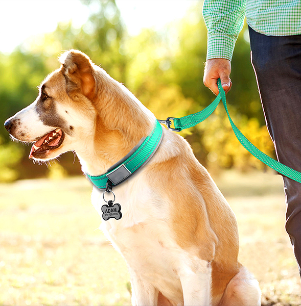 Adjustable Nylon Neoprene Padded Dog Collars Reflective Soft Design Comfortable Durable