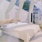 Modern Resort Bubble Dome Tent Luxury High Sound Insulation With LED Light
