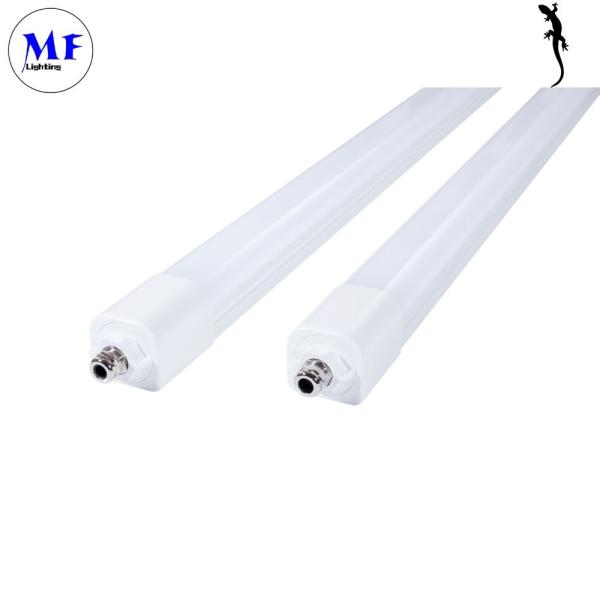 5 Years Warranty 50W LED Tri-Proof Light 3000K-6000K CCT Adjustable IP66