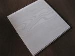 Mothproof PVC Ceiling Panels Plastic Wall Plate Environmental