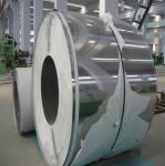 Stainless Steel Coil/ Stripe for Grade 304 310S 316L 321 317L 2507 904L 2205