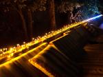 LED Strip Lights IP44 Waterproof 19.7FT Lifespan Dimmable Black Tape 4.3mm Lamp