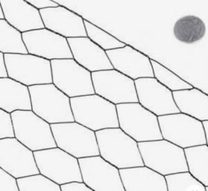 China Galvanized hexagonal wire netting Iron wire mesh on sale