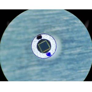 Wholesale 1310nm 0.8mm Free Space Isolator , Double Stage High Isolation Free Space Optical Isolator from china suppliers