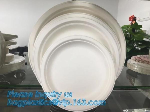 Compostable biodegradable dinner plate corn starch plate,Elegant Disposable Corn