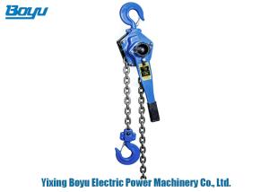 Wholesale Ratchet Lever Chain Hoist Handle Lifting Equipment Rated Load Lifting Capacity 9 Ton from china suppliers