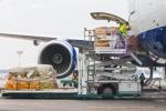 Origin Storage Service DDP Air Shipping MU Carrier To Australia