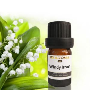 China Ilan Aroma Diffuser Essential Oil Sustainable Car Air Freshener Fragrance 500ml on sale