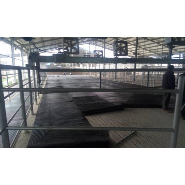 Cow Farm Equipment Anti-slip Cattle Mattress made of density Rubber