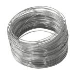 Environmental Protection/Galvanized Spring Wire/Stainless Steel Spring Wire