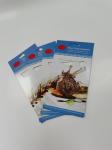Custom Biodegradable Blister Packaging Plastic Clamshell Packaging For Food