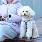 Pet Printed Harness Medium And Large Dogs Anti Breakaway Vest Style Leash