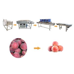 Wholesale Hot selling New Design Ultrasonic Fruit Vegetable Washing Machine by Huafood from china suppliers
