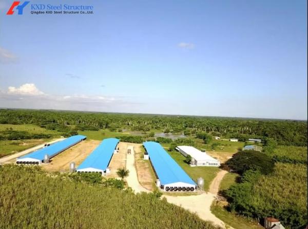 Prefab Steel Structure Poultry House Chicken House Farming Shed Design House