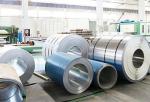 304 310s 316 Decorative Plates Cold Rolled Ss Coil Stainless Steel Coil 2b Ba 8k