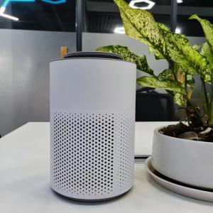Wholesale 10M2 Low Noise Clean Air Home Air Purifiers 6W Plasma Hepa Home Air Filter ≤55dB from china suppliers