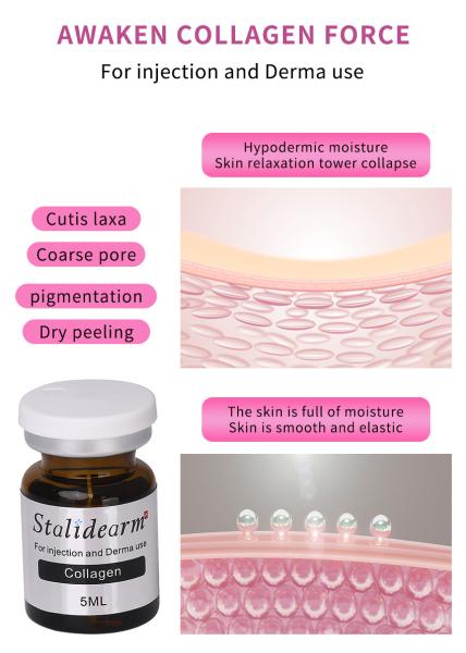 Stalidearm Facial Care Face Moisturizing Skin Firming Meso Serum Anti Wrinkles