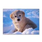 Animal New Cartoon Large Carpet Source Wholesale Feather ins Style Bedroom Floor
