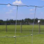 Hot-Dip Galvanized Cattle Fence High Grade Design Horse Fence Panel for