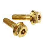 DIN6921 Factory Direc Anodized M8x30mm Flange Bolt Hex Flange Head Titanium Bolt