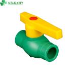 QX PPR Male Elbow for Hot Cold Water Plumbing Material and PVC Compact Ball