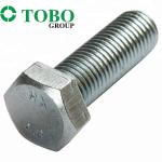 Grade 8.8 Stainless Steel Bolts with Hex Head Type for Industrial Needs