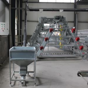 Wholesale Q235 Hot Galvanized Automatic Egg Layer Chicken For Poultry Farm from china suppliers