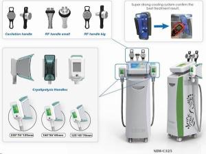 Wholesale Cryolipolysis Slimming Machine / Weight Loss Machine / 5 in 1 handles Slimming Machine from china suppliers