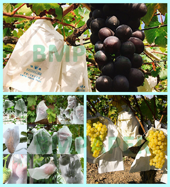 100mic White Grape Protect Paper 30 x 30cm Waterproof And Tear Resistant