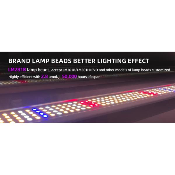 400W Full Spectrum LED Grow Lights