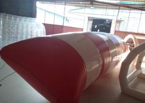 Wholesale Durable Large Inflatable Water Toys Water Catapult Blob With Logo Printing from china suppliers