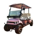 Pink Color 60V 4KW AC System EV Golf Cart New Energy Off Road Electric Golf Cart