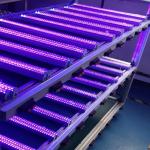 4ft black light 365NM 395NM UVA 18W 22W 25W flicker free 100-277V AC CE RoHS SAA