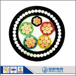 Low Voltage Power Cable Copper/Aluminum Power Cable